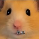 지제로 이미지