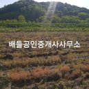 진교면사무소 이미지