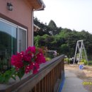 부엉이집 이미지