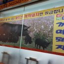 서부꺼먹돼지