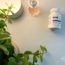 조아약국 | 환절기 불면 고민, 식물성 멜라토닌 조아제약 멜라톤 숙면 영양제 솔직 후기