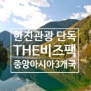 중앙비즈로