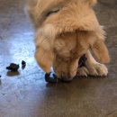 새서울미용실 이미지