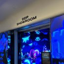 골드킹덤 | [DDP/놀거리/쿠키런] 서울 무료 전시 쿠키런 킹덤 ddp 특별전 &lt;진리와 거짓의 게임 展&gt; 후기, 쿠키런...