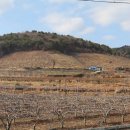 김현규농장 이미지