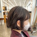 드 포롱