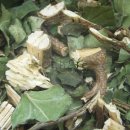 산골짜기 영농조합법인 이미지