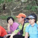 철마초등학교 이미지