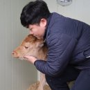 투머치목장 이미지