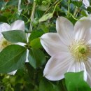 개울건너 이미지