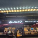 유일 | 광주 광산구 유일장어 솔직 후기｜맛, 가격, 분위기 총정리