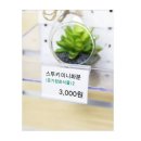 A0767 쇼핑하우