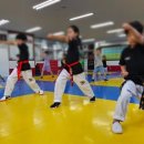 동탄MTA태권도장 이미지