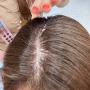 제이빈헤어(J Bin hair) | 수성구미용실 시지미용실 알파시티미용실 < 제이블랑 >
