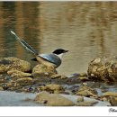 오늘나의정원 이미지