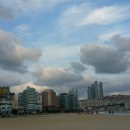 샤르망헤어아트 이미지