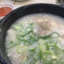 한끼돼지