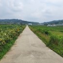 대평2리마을회관 이미지