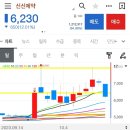 신신스튜디오 이미지
