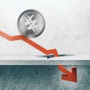 퓨쳐코리아 이미지