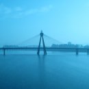 의술농장 이미지