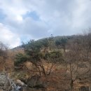비슬산둘레길 3구간 | 대구 가볼만한곳 : 비슬산 둘레길 코스