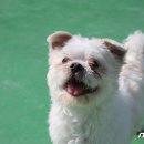 청아 - 동구 | 청아