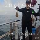 서해로 | 서해 갑오징어 낚시 채비 장비 선상낚시 출조후기