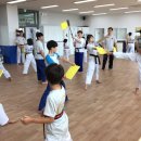 Team태권도장 이미지