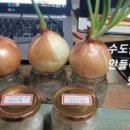 SNS 시작하기 이미지