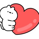 젠트리모토 이미지