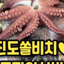 낙지박사 | 꽃게선장낙지박사 진도 맛집 리얼 후기! 산지 직송 해산물과 쏠비치 숙소 근처 꿀조합 🦀🐙