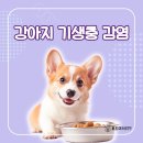 석적동물병원 이미지