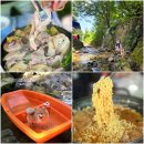 탑골 | [경기 양주 맛집] 장흥유원지 애견동반 계곡 식당 추천! 리센느도 반한 탑골 솔직 후기