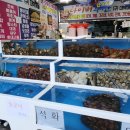 다이버회수산 이미지