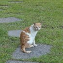 롯데슈퍼 안면도점 | 태안 여행 안면도 숙소 후기, 보헤미아빌리지 A104