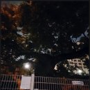 별화당 - 완주군 | 별화당