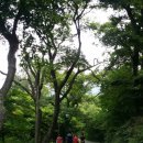 땅끝마을민박 이미지