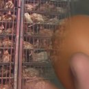 율이농장 이미지