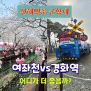 경화역 | 진해 군항제 여좌천 경화역 하루코스 후기 벚꽃 개화상황 주차 꿀팁 총정리(2026년)