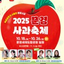 김용빈농장 | 감홍사과가 주인공! 2025 문경사과축제 일정·체험·사진스팟 소개.