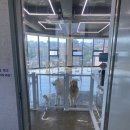 보라눈나 이미지