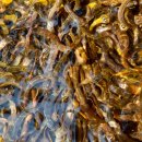 아리채요양병원 이미지