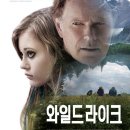 와일드원 이미지
