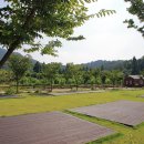 연산황산벌 오토캠핑장 이미지