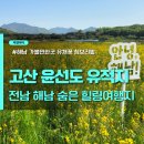 30 | 해남가볼만한곳 고산윤선도유적지 유채꽃 청보리밭 해남여행 전라도여행