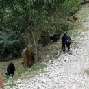 오산민박 이미지