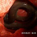 노지하우스 이미지