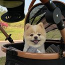 방배한강동물병원 이미지