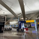 장도관광안내소 | [신혼여행] 인천-아부다비-리스본 에티하드 항공 체크인/경유/지연으로 비행기 놓친 보상 후기